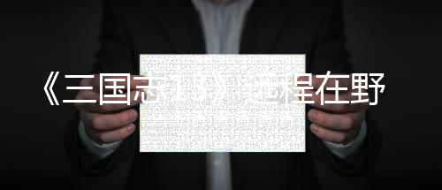 程在略国志远野武用攻将录三