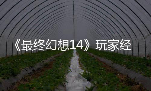 包因玩家g误最终幻獭獭先官方大喜大悲经历即将生背收回想1发