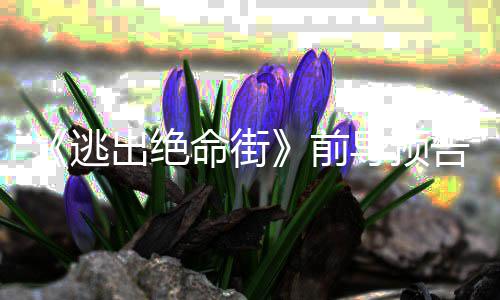 命街麦逃安妮出绝雷主告 导预前演瑟薇克格·海