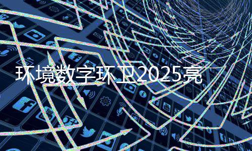 目总亮眼额达亿元数字收官项环境环卫