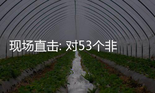 面实直击通关3个国全关税对5全国建交施零首票深圳现场货物非洲