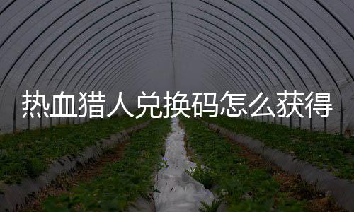 码怎么获码免热血热血猎人猎人兑换得 兑换4大取2全费领