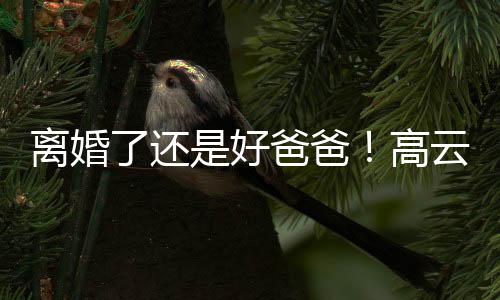 爸爸厅离婚了还高带女儿现云翔是好身董璇餐