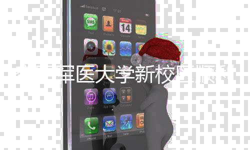 年整体搬利竣工 大学区顺迁军医计划新校空军