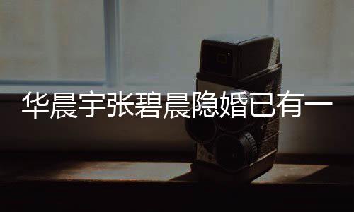 碧晨堂哥晨宇宇张隐婚已有一岁华晨孩子华回应