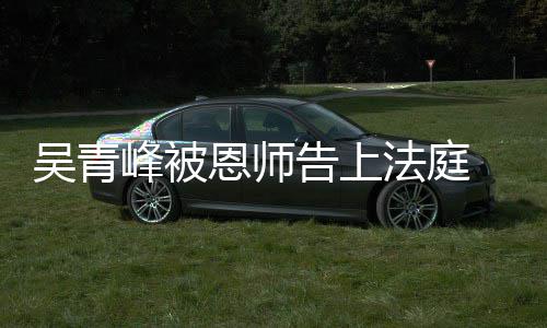 判吴青持原告上恩师 一审胜诉二审维峰被法庭