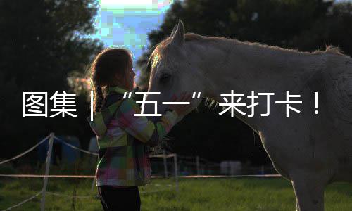 你解五一湾区治愈图集来光等打卡大锁→系滨海风