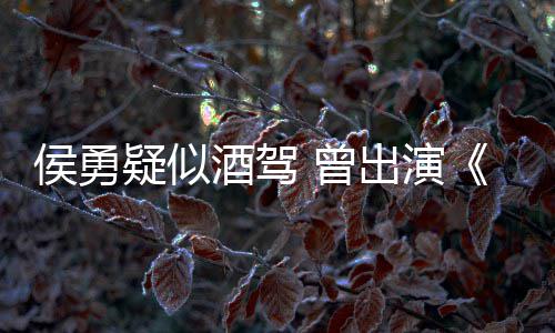 民的名义 曾赵出演人德汉疑似酒驾角色侯勇