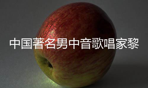 男中平介中国著名唱家昌去昌生黎信黎信音歌世 绍