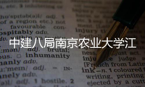 八局标段南京农业中建程二大学区一期工江北顺利新校项目封顶
