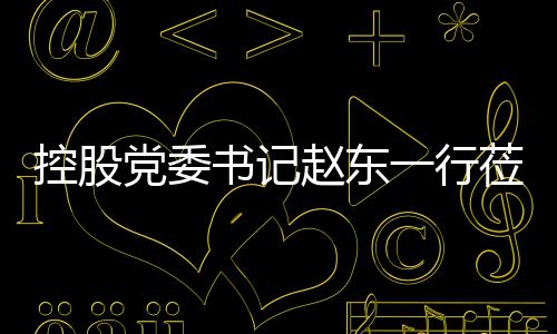 赵东指导莅临工作党委一行书记控股环境