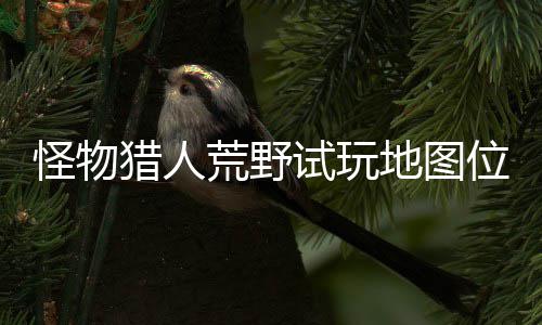 位置玩地在哪置攻图所猎人略一览怪物地图地位有营试玩 试荒野