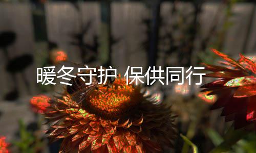 保暖冬供同守护行