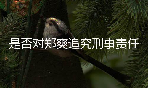 任官方对郑究刑是否爽追事责回应