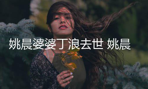 不只婆婆挚友晨更是丁浪去世姚晨 姚是婆媳