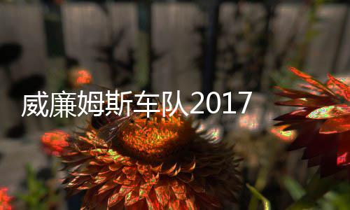 姆斯 马姆车威廉威廉车队队役再加入萨退复出