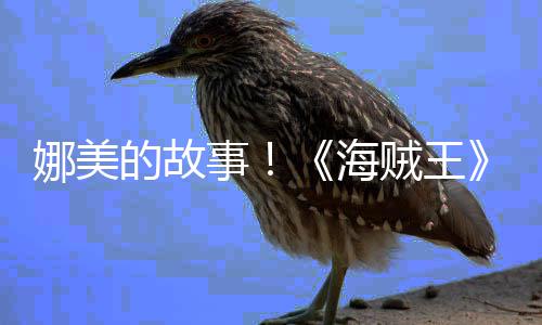 娜美女主贼王传动V公的故全角外事开海画P