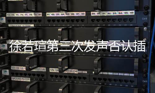 不王力插足绝无三次私约是第三者徐若瑄第宏发声否认