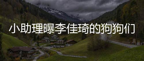 们去理曝李佳狗狗度假 都的往琦的机是坐小助海南返包