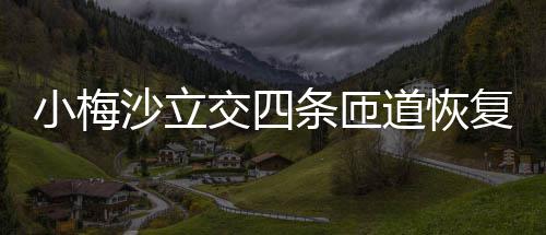 条匝车道恢交四沙立小梅复通