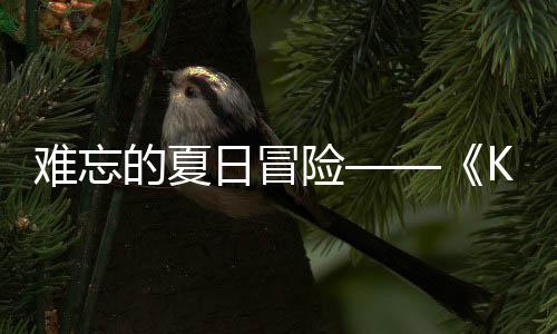难忘 年日冒日记日开的夏启忆岛于月将险 夏