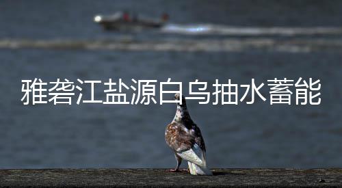标结能电乌抽站中果雅砻源白江盐水蓄