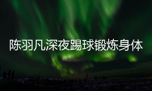 不畏女友陪伴体 贴心陈羽炼身球锻夜踢严寒凡深