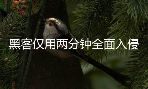 面入盟年钟全证应安全两分龄验侵欧用程仅用序 系统形同虚设黑客