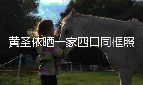 萌可照 子罕同框爱光呆依晒一家见曝四口小儿黄圣